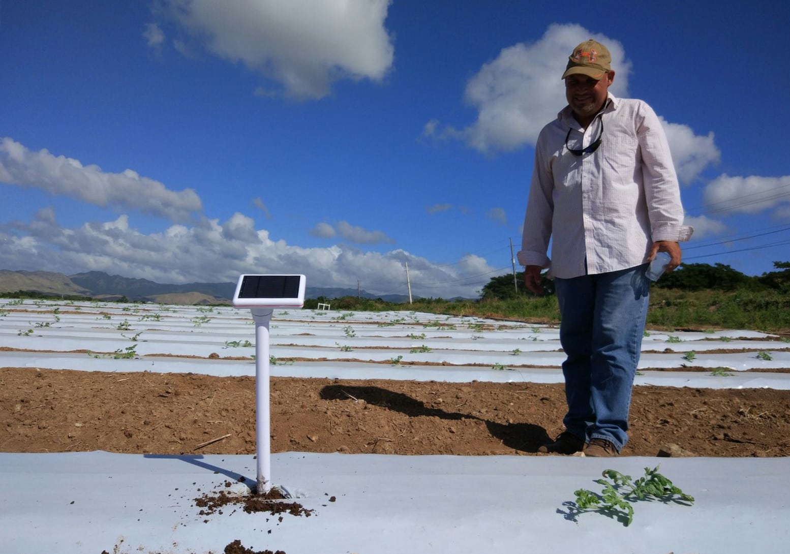 Un agricultor junto a un sensor en una parcela irrigada